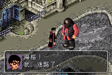 Harry Potter and the Chamber of Secrets