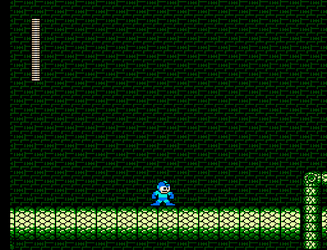 Mega Man 3
