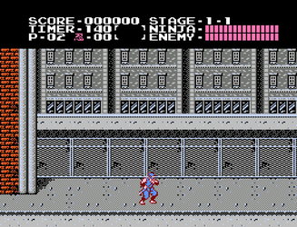 Ninja Gaiden

